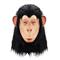 Planet der Affen: Königreich Gorilla Karnevalsmaske Maske Voller Kopf Erwachsene Herren Damen Gruseliges Kostüm Leistung Party Halloween Karneval Einfaches Karnevalskostüm