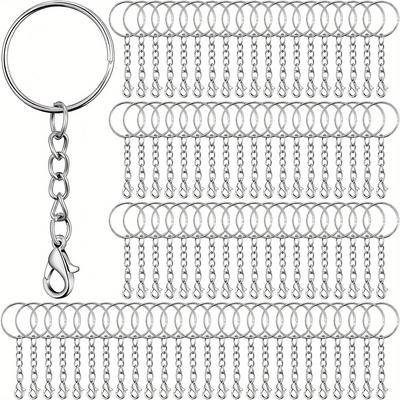 TEMU 100pcs Silver Keyring Set For Diy Keychain Making Kit Metal Keyring Link Ring Zinc Alloy Rotating Lobster Clasp Handicraft Jewelry Making Supplies