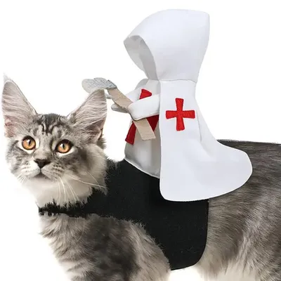 Pet+Costumes