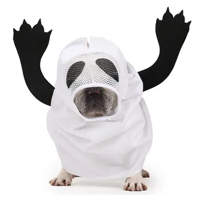 Pet+Costumes