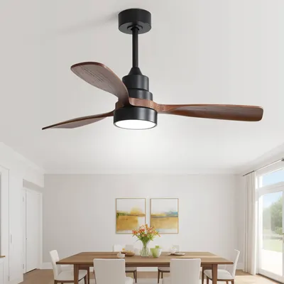 Ceiling+Fans