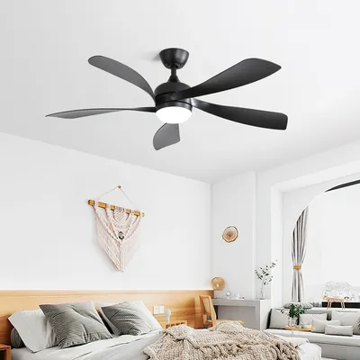 Ceiling+Fans