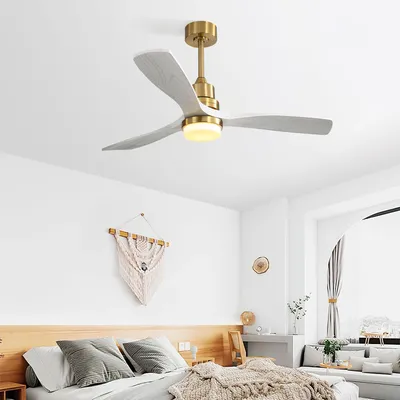 Ceiling+Fans