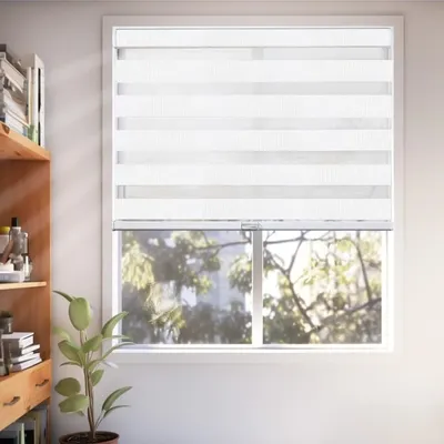 Window+Blinds