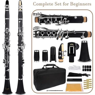 SLADE Clarinet 17 Key Bb Clarinet Professional Woodwind Instrument Bakelite Wood Clarinet with Box