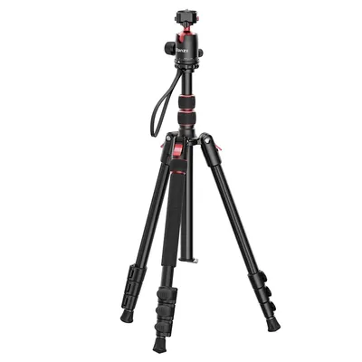 Tripods+Monopods