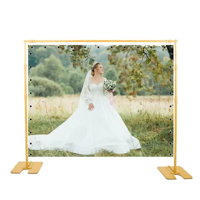 SH 2.4X3M Light Iron Plate Background Frame System Kit Background Stand Photo Backdrop Support