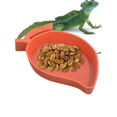 Reptile Mango Shape Dish Reptile Food Water Bowl Tortoise Habitat Accessories Water Plate For Turtle