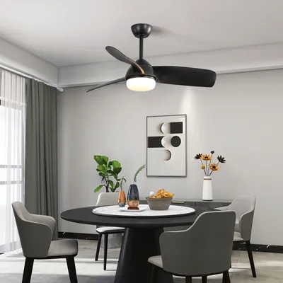 Ceiling+Fans