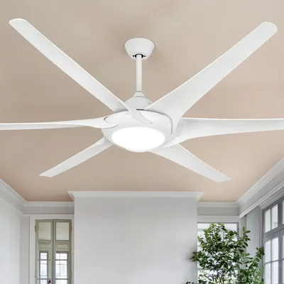 Ceiling+Fans