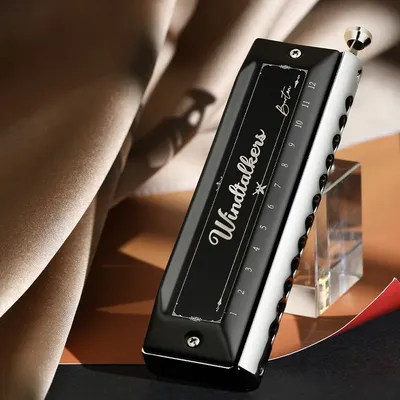 SWAN Chromatic Harmonica Key of C,12 Holes 48 Tones Professional Mouth Organ Harmonica for Adults,