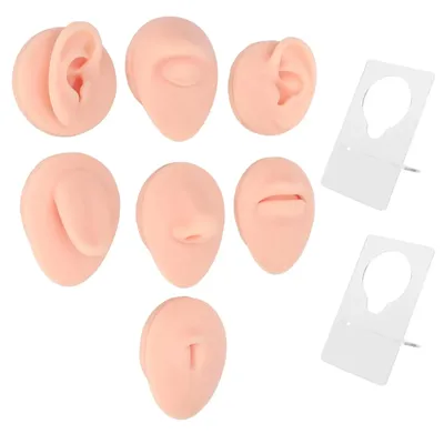 Vivid Silicone Body Part Model - Flexible 3D Design for novice Piercers & for piercing Practice