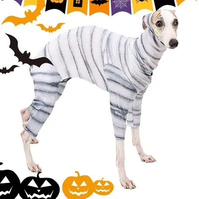 Pet+Costumes