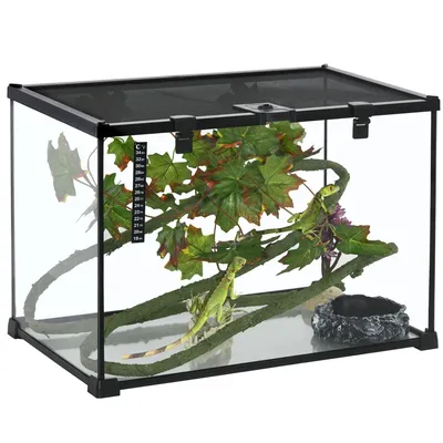 14 Gallon Reptile Glass Terrarium Tank with Decor Kit, Breeding Box Full View with Visually