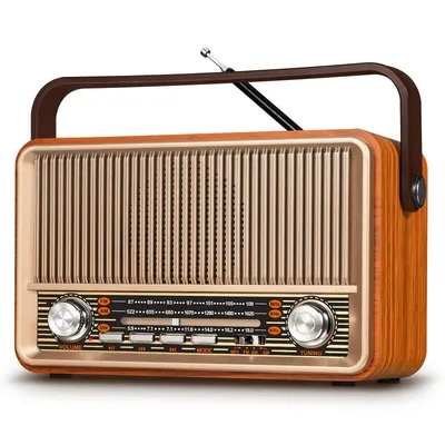 PRUNUS J-120 Radio Portable AM FM, Transistor Radio Plug in Wall Powered Radio for Home