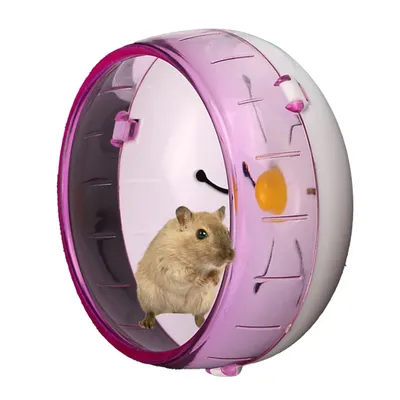 Hamster Running Spinner Wheel Silent Running Spinner Exercise Wheel Toys Jogging Wheel Hamster Toys