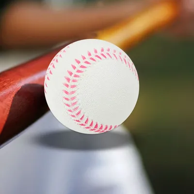 Softball+Baseball+Equipment