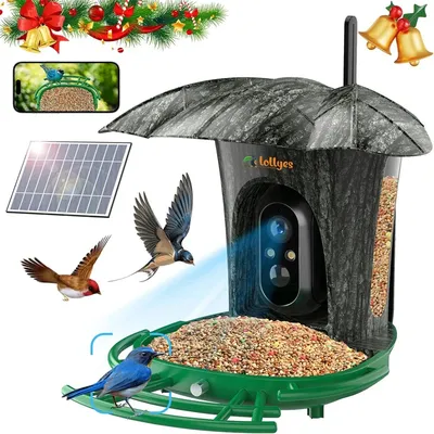 AI Smart Bird Feeder Camera with 64G Card,1080P HD AI Identify Bird Species,Hummingbird Feeder,Bird