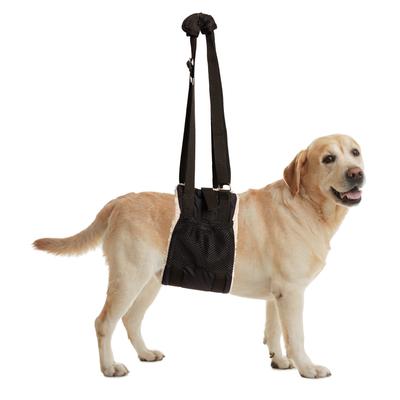 Buddy Lift Canine Support & Rehabilitation Sling for Dogs, Large