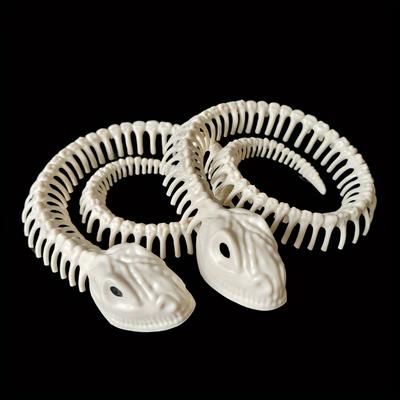 TEMU Skeleton Snake Bone Decor Props, Animal Skeleton, Gifts