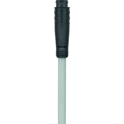 Escha 8052699 Sensor-/Aktor-Steckverbinder, konfektioniert M8 Stecker, gerade 2.00 m Polzahl Sensore Image