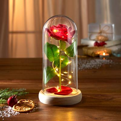 Ewige Rose im Glas mit Licht Eldo Image