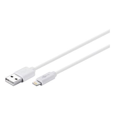 goobay DAT USB/Lightning-Kabel für iPad grün Image