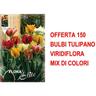 Bulbi autunnali offerta 150 bulbi tulipano viridiflora mix di colori bulbs bulbs