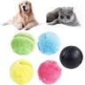 Balle magique pour chiens, balle pour chat, balle roulante active pour chiens, 1 jeu de balle en