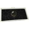 Filtro a carboni attivi compatibile con Gaggenau AH273170/04, AH273170/03, AH273170/02,