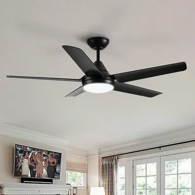 Ceiling+Fans