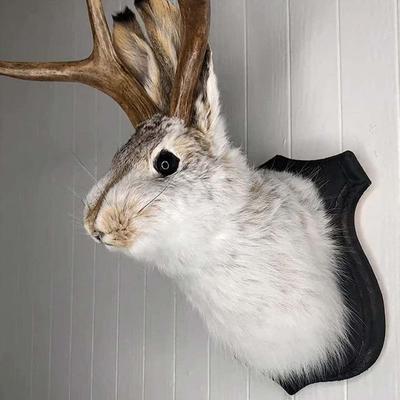 TEMU 1 Pc Wooden Antler Rabbit Head Simulation Specimenjackalope Mount Wall Decor, Animal Head Wall Decor Resin Hanging Wall Art