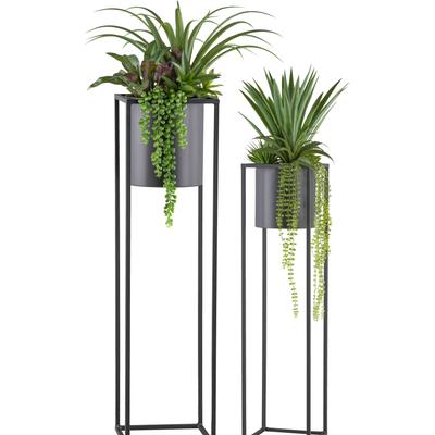 Kunstpflanze CREATIV GREEN "Sukkulentenarrangement", grün, H:135cm, Kunststoff, Kunstpflanzen, mit matter Farbgebung Image