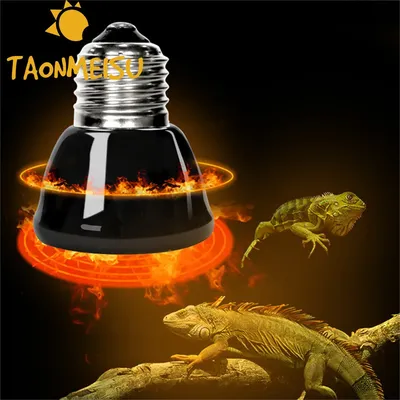 110v US plug Pet Heat Light Lamp Ceramic Infrared Emitter Heated Lamp Heating Light Bulb For Pet Snake Lizard Brooder Breeding