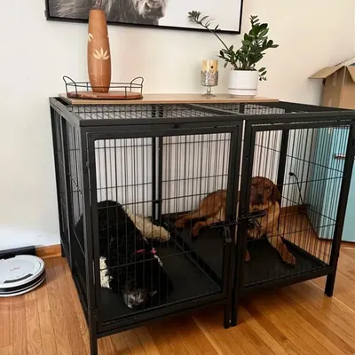 XXXL Large Heavy Duty Raised Dog Cage Metal Crate Pet Playpen Kennel Partition for 2 Dogs Double Door Tray Divider Playpen