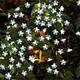 Outdoor Solar Lichterketten 2pcs 1pcs 8 Modelle Kirschblume 6,5m 30 LED Solar Lichterkette für den Hausgarten Dekoration 5m 20 LEDs wasserdichte Weihnachtsfeier Lichterketten Outdoor Solarlampe