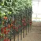 Garden Fences 10pcs Metal Fence Panels For Flower Bed Decorative Garden Fencing Animal Barrier
