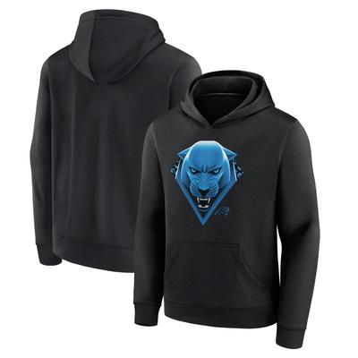 Carolina Panthers Illustration Hoodie - Youth Image