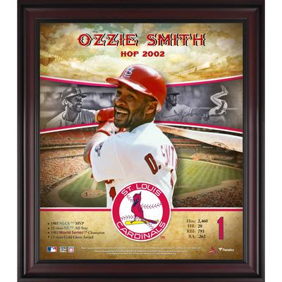 Ozzie Smith St. Louis Cardinals gerahmt 15" x 17" Hall of Fame Karriereprofil Image