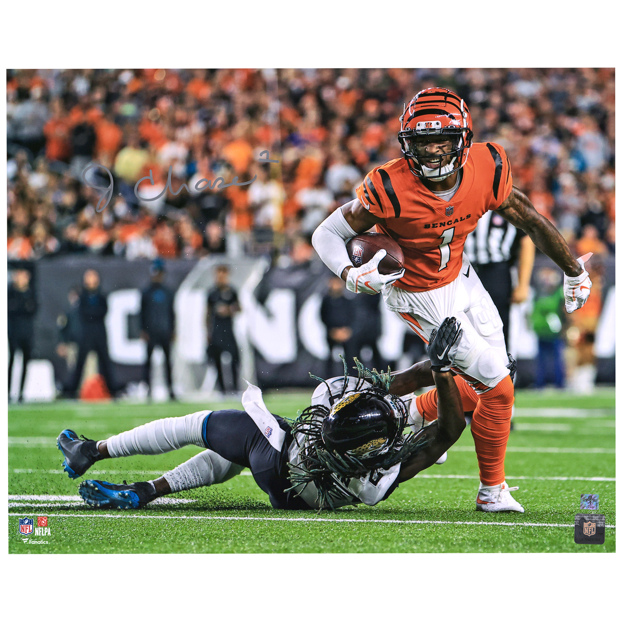 Ja'Marr Chase, Cincinnati Bengals, signiertes 16 x 20 Zoll großes orangefarbenes Breaking Tackle-Foto Image