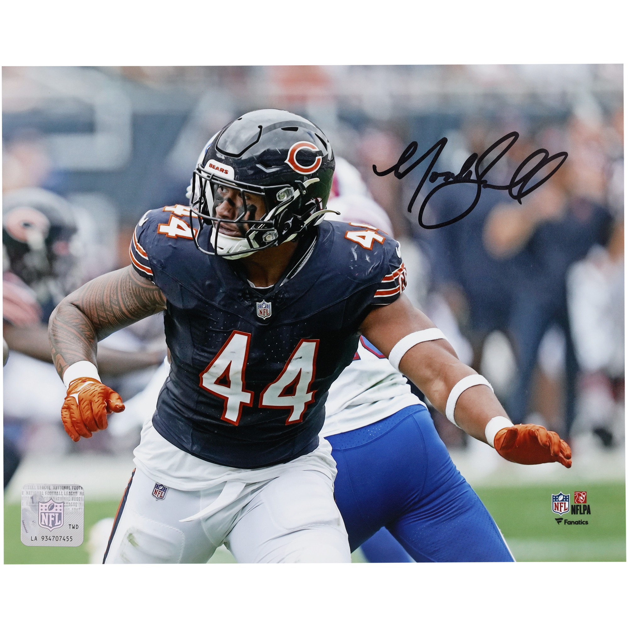 Noah Sewell Chicago Bears signiertes Actionfoto im Querformat, 20,3 x 25,4 cm Image