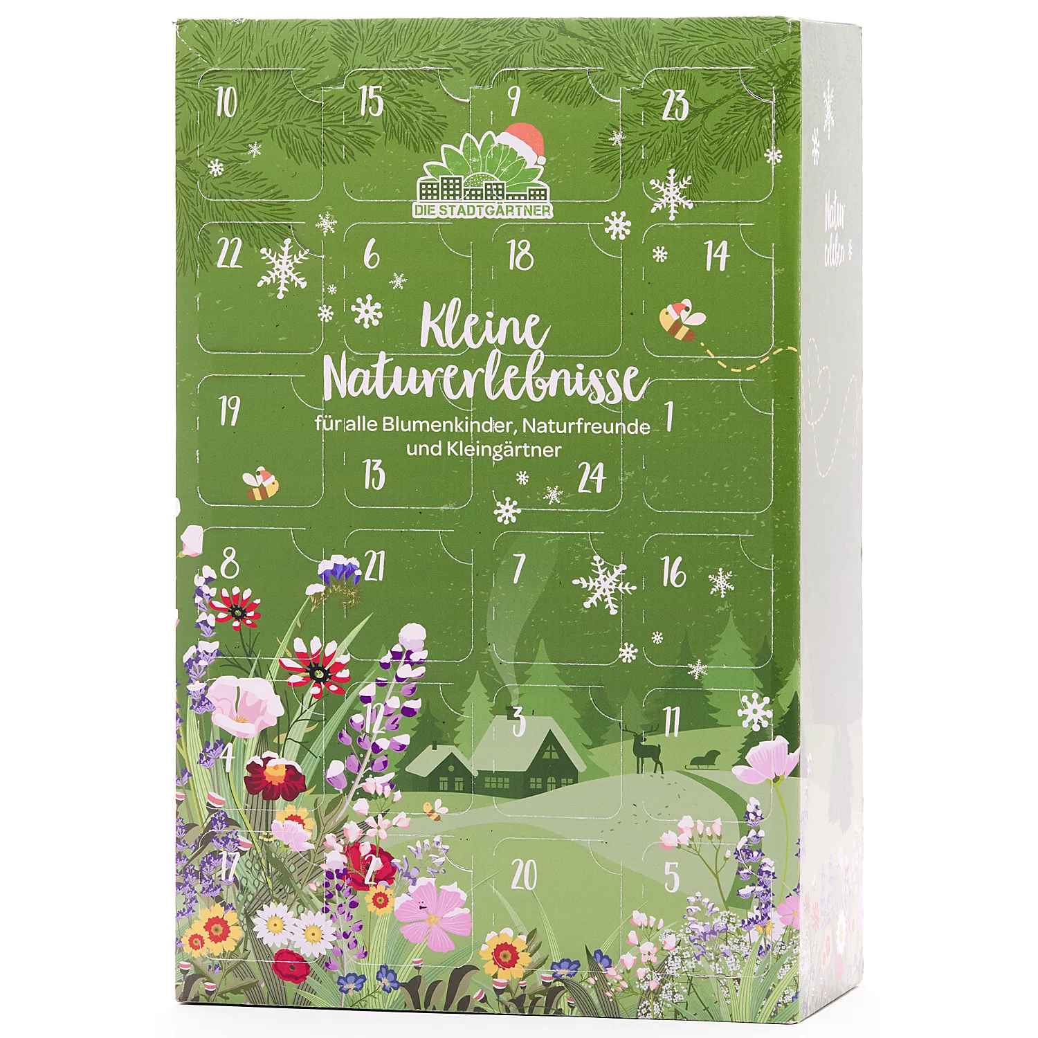 Adventskalender Kleine Naturerlebnisse Image