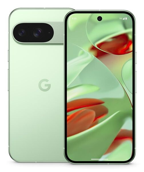 Google Pixel 9 5G 12GB RAM 128GB Wintergreen DE Image