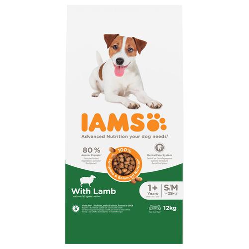 Sparpaket: 2x 12kg IAMS Advanced Nutrition Adult Small & Medium Dog mit Lamm Hundefutter trocken