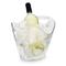 Seau à champagne ovale transparent 1 à 3 bouteilles pujadas