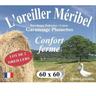 Dodo Lot de 2 Oreillers meribel Plumettes 60x60cm