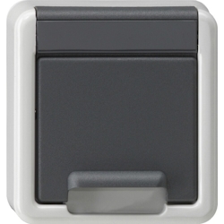 Gira Abdeckung, grau, Ersatzteil, 494230 Image