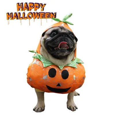 Halloween Kürbis Hund Katze Kleidung Haustier Cosplay Kostüme Haustier Urlaub Party lustige Hündchen Image