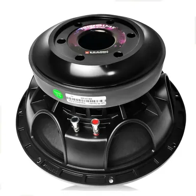 8-20 Zoll Subwoofer-Lautsprecher 4-8 Ohm 600-6000 W Hifi Bass Audio Woofer Bücherregale Image