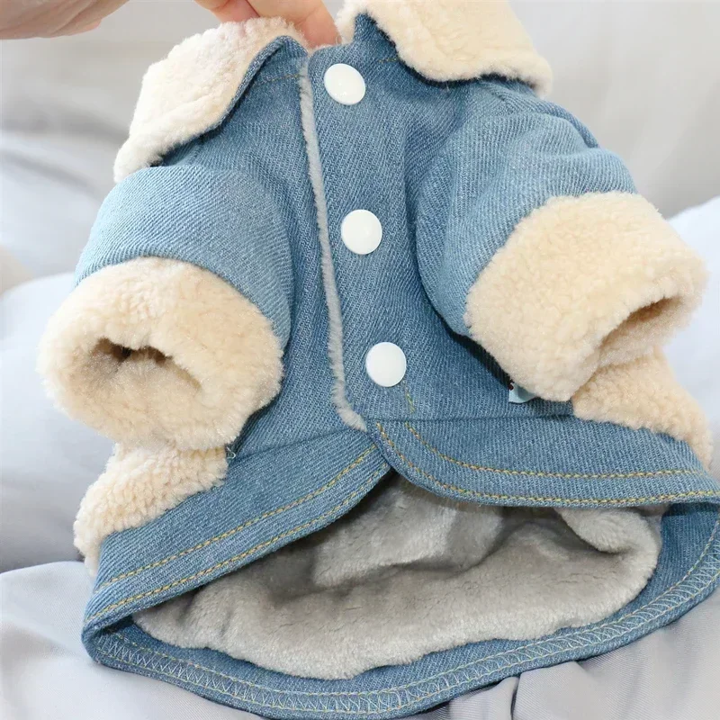 Winter Hund Mantel Jacke Pet Kleidung Warm Puppy Outfit ropa perro abrigo perro Yorkshire Pudel Pommerschen Schnauzer Hund Kleidung Image